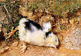 William Holman Hunt Paintings - John Ruskin's dead chick by William Holman Hunt